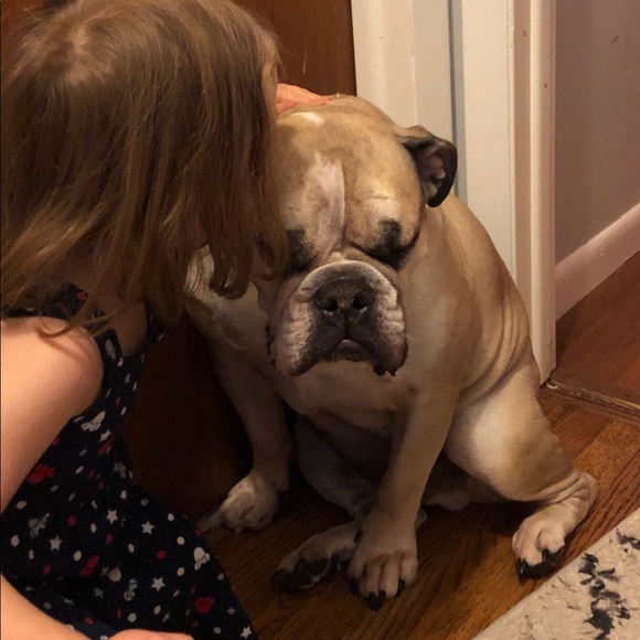 Welcome to my closet! Enjoy a few pictures of my bully and his baby ❤️❤️ - Picture 7 of 16